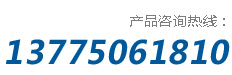 2631376258